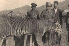 635450186880604782.jpg 635450186880604782.jpg