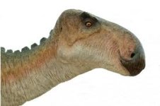 Iguanodons-4.jpg